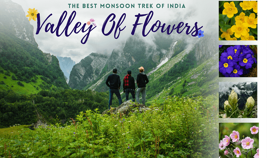 Best Time to Visit Valley of Flowers — An Unforgettable Guide | Wonder Bharat Holidays